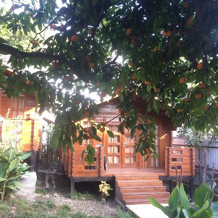 Cottage house New Athos エクステリア 写真