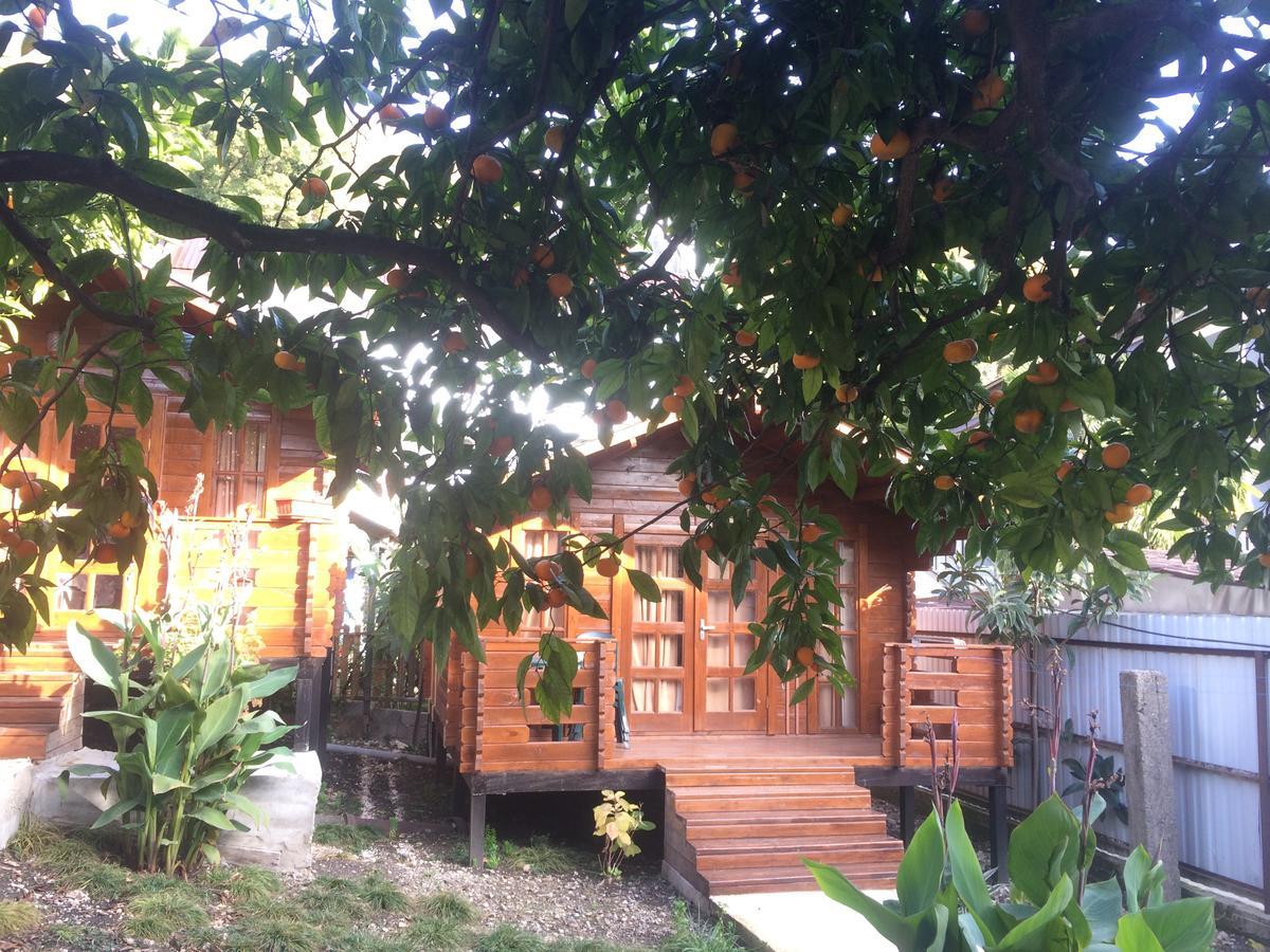 Cottage house New Athos エクステリア 写真